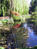 Butchart Gardens Pond