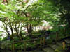 Butchart Japanese Garden