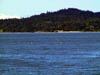 Kayakers off Chemainus Beach